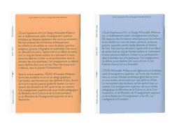 Editorial Design for ESAD Grenoble and Valence - thumbnail 3