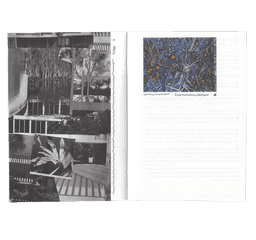 Editorial Design for ESAD Grenoble and Valence - thumbnail 6