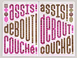 Assis! Debout! Couché! 2013 - thumbnail 2