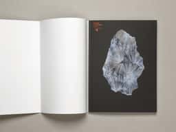 Espace Culturel Louis Vuitton - thumbnail 17