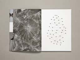 Espace Culturel Louis Vuitton - thumbnail 18