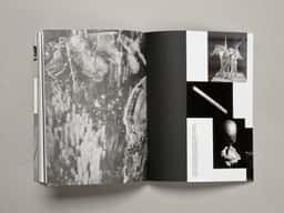 Espace Culturel Louis Vuitton - thumbnail 22
