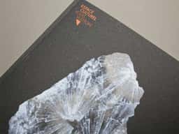 Espace Culturel Louis Vuitton - thumbnail 23