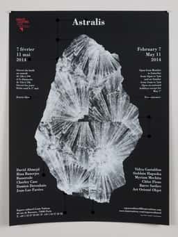Espace Culturel Louis Vuitton - thumbnail 27