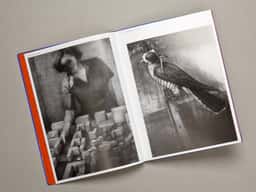 Espace Culturel Louis Vuitton - thumbnail 12