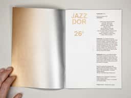 Jazzdor 2011 - thumbnail 5