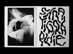 Journal Stratigraphie - thumbnail 2