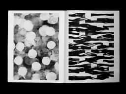 Journal Stratigraphie - thumbnail 5
