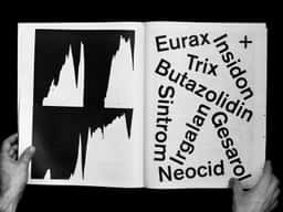 Journal Stratigraphie - thumbnail 1