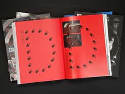 Palais - thumbnail 22