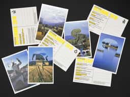 Pronomade(s) 2010 - thumbnail 3