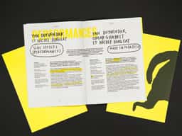Pronomade(s) 2010 - thumbnail 10