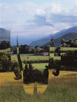 Pronomade(s) 2010 - thumbnail 16