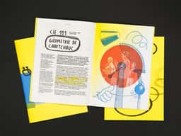 Pronomade(s) 2011 - thumbnail 10