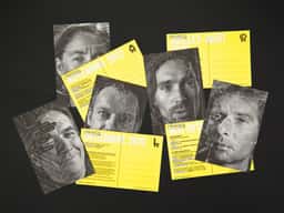 Pronomade(s) 2012 - thumbnail 3