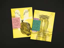 Pronomade(s) 2013 - thumbnail 3