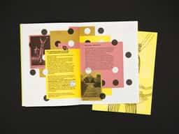 Pronomade(s) 2013 - thumbnail 6