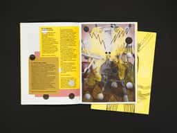 Pronomade(s) 2013 - thumbnail 8