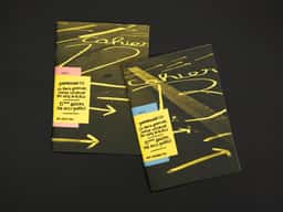 Pronomade(s) 2014 - thumbnail 3