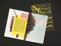 Pronomade(s) 2014 - thumbnail 8