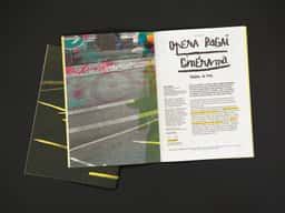 Pronomade(s) 2014 - thumbnail 9