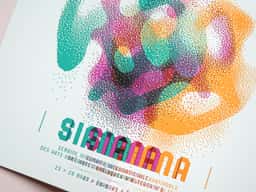Siana 2009 - thumbnail 9