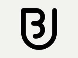 BU Lille 2 - thumbnail 2