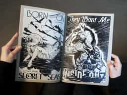 Faile - thumbnail 7