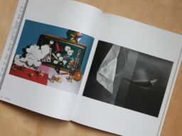 Palais Modules - thumbnail 2