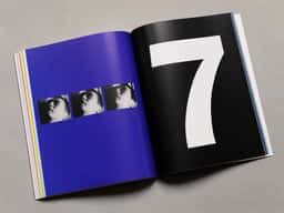 Palais 22 - thumbnail 14