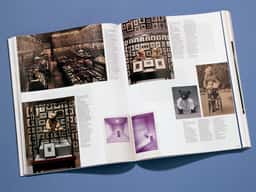 Palais 27 - thumbnail 5