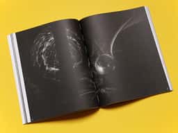 Palais 28 - thumbnail 10