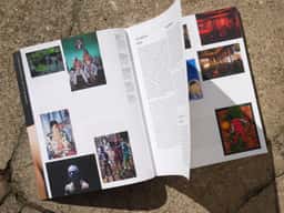 Palais 29 - thumbnail 2