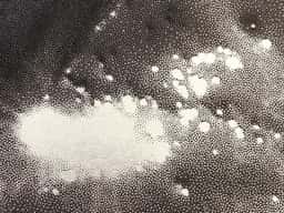 Le Royaume #1 - thumbnail 2