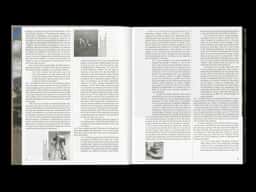 Guillaume Bresson - thumbnail 5