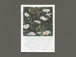 Datil, des sources - thumbnail 1