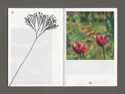 Datil, des sources - thumbnail 16