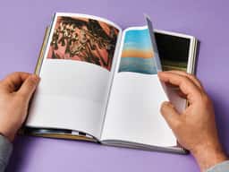 Fulgurances, the Almanac of Contemporary Cuisine - thumbnail 6