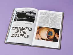 Fulgurances, the Almanac of Contemporary Cuisine - thumbnail 10