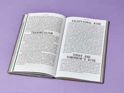 Fulgurances, the Almanac of Contemporary Cuisine - thumbnail 12