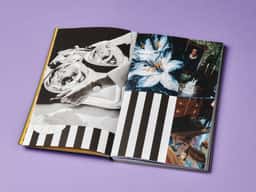 Fulgurances, the Almanac of Contemporary Cuisine - thumbnail 3
