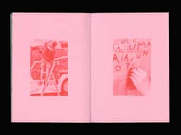 Geoffroy Pithon, Coloramadre - thumbnail 10