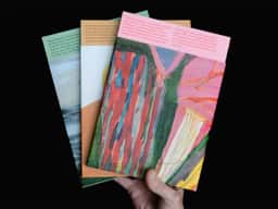 Geoffroy Pithon, Coloramadre - thumbnail 11