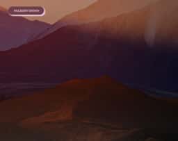 Brand Identity for Purple Garden - thumbnail 27