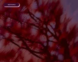 Brand Identity for Purple Garden - thumbnail 26