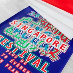 Visual Identity for Festival Singapour En France - thumbnail 1