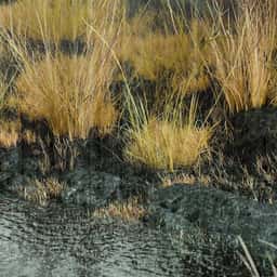 Environmental Visualization for SPACE10 Climate Stressors - thumbnail 1