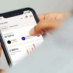 Visual Identity and Digital Product Design for Buddywise - thumbnail 1
