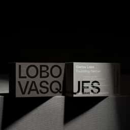 Brand Identity for Lobo Vasques Studio - thumbnail 1