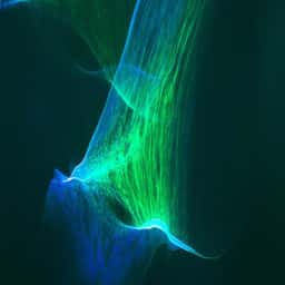 Light Installation for Reflexions Solo Color - thumbnail 1